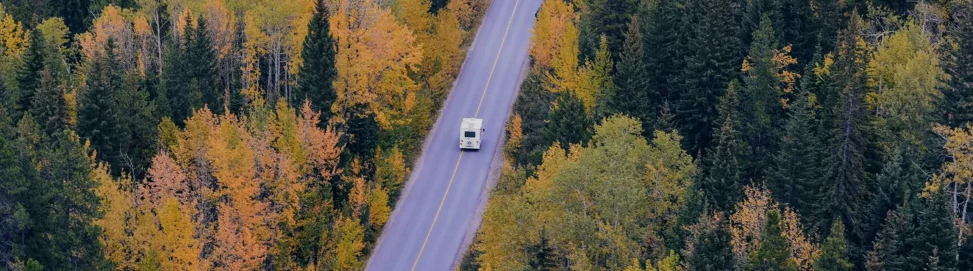 Aerial view of a road through autumn forest