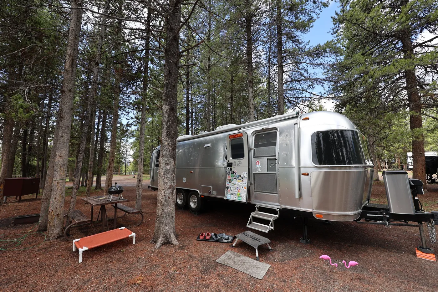 Silver travel trailer parked among pine trees at a campsite